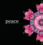Peace - Preview