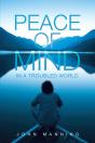 Peace Of Mind Ln A Troubled World - Preview