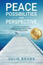 Peace, Possibilities And Perspective - Preview