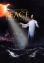 Peace Principles - Preview