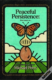 Capa do artigo Peaceful Persistence