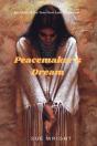 Peacemaker'S Dream - Preview