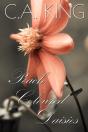 Peach Coloured Daisies - Preview