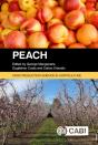 Peach - Preview
