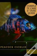 Peacock Cichlid