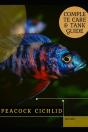 Peacock Cichlid - Preview