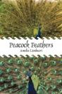 Peacock Feathers - Preview