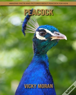 Capa do artigo Peacock