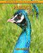 Peacock - Preview