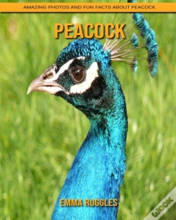 Capa do artigo Peacock