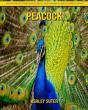 Peacock - Preview