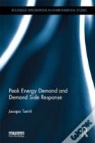 Peak Energy Demand And Demand Side Response