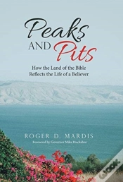 Capa do artigo Peaks And Pits