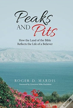 Capa do artigo Peaks And Pits