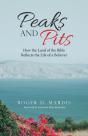 Peaks And Pits - Preview