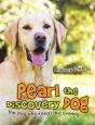 Pearl The Discovery Dog - Preview