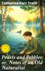 Pearls And Pebbles; Or, Notes Of An Old Naturalist - Preview