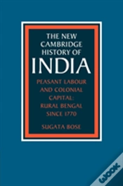 Capa do artigo Peasant Labour And Colonial Capital