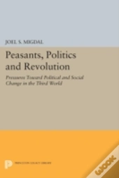 Peasants, Politics And Revolution