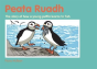 Peata Ruadh - Preview