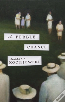 Capa do artigo Pebble Chance