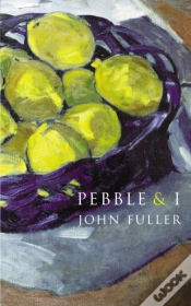 Capa do artigo Pebble & I