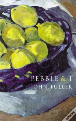 Capa do artigo Pebble & I