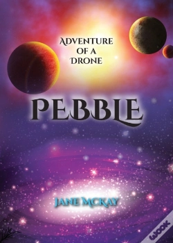 Capa do artigo Pebble