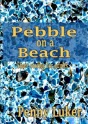 Pebble On The Beach - Preview