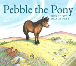 Capa do artigo Pebble The Pony