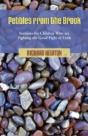 Pebbles From The Brook - Preview