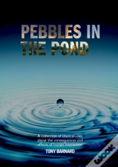 Pebbles In The Pond