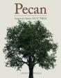 Pecan - Preview