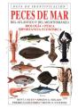 Peces De Mar. Guia De Identificacion - Preview
