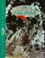 Pecher En Eau Douce - Preview