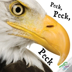 Capa do artigo Peck, Peck, Peck