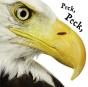 Peck Peck Peck - Preview