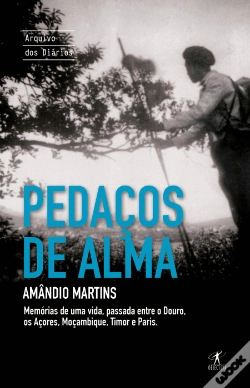 Capa do artigo Pedaços de Alma