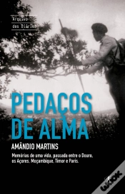 Capa do artigo Pedaços de Alma
