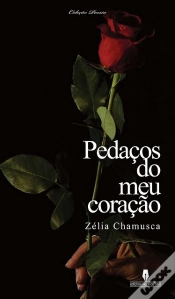Capa do artigo Pedaços do meu Coração