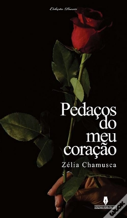 Capa do artigo Pedaços do meu Coração