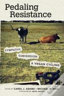 Pedaling Resistance
