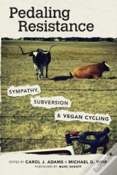 Pedaling Resistance