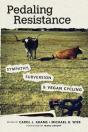 Pedaling Resistance - Preview