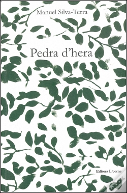 Capa do artigo Pedra D'Hera