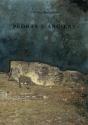 Pedras e Argilas - Preview