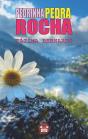Pedrinha Pedra Rocha - Preview