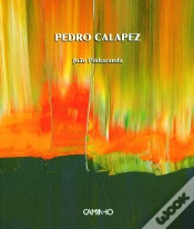 Capa do artigo Pedro Calapez
