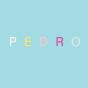 Pedro / Fear & Resilience - CD - Preview