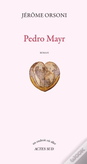 Capa do artigo Pedro Mayr